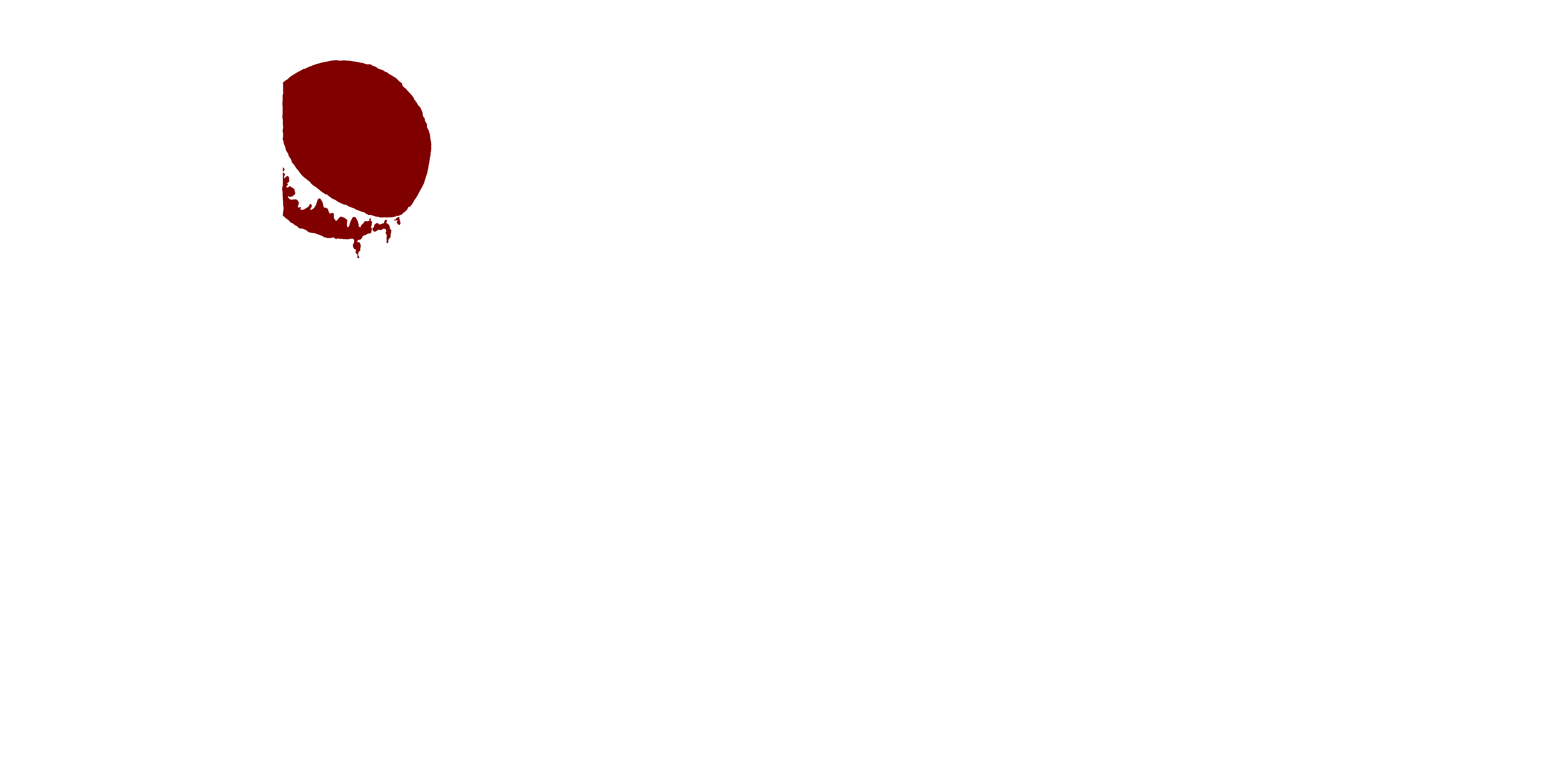 Northern Spire Productions logo